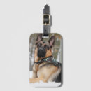 Suche nach schneehund Welpe