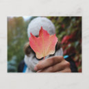 Suche nach herbstblätter postkarten Jede person