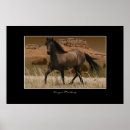 Suche nach mustang kunst Pferde