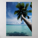 Suche nach palau poster Tag