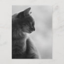 Suche nach love postkarten Jede person