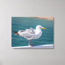 Suche nach ansicht leinwandbilder Meer