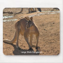 Suche nach känguru mousepads Jede person