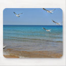 Suche nach möwe mousepads Vögel