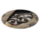 Suche nach waschbär schneidebrettchen Süß