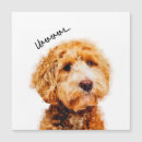 Suche nach furry postkarten Für sie