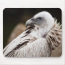 Suche nach geier mousepads Vogel
