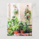 Suche nach kuriositäten postkarten Blume