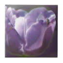 Suche nach lavendel blume fliesen Lila