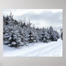 Suche nach evergreen poster Winter