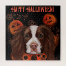 Suche nach springer spaniel puzzle Spaniels