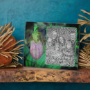 Suche nach orchidee fotoplatten Natur