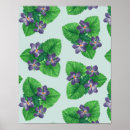 Suche nach veilchen sind blau poster Blume