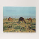 Suche nach kamel puzzle Wüste