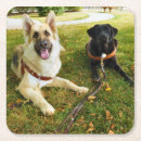 Suche nach german untersetzer Gsd