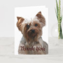 Suche nach yorkshires karten Terrier