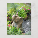 Suche nach wasserbrunnen postkarten Blume