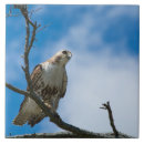 Suche nach jagd fliesen Jede person