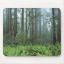 Suche nach farne mousepads Baum