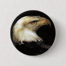 Suche nach kahl buttons Amerika