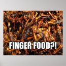 Suche nach heuschrecke poster Käfer