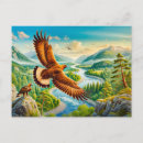 Suche nach goldener adler postkarten Wild