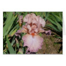 Suche nach schwertlilie postkarten Iris