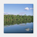 Suche nach amazonas magnete Tropisch