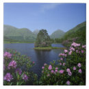Suche nach wales fliesen Reise