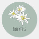 Suche nach edelweiss aufkleber Alpine blume