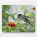 Suche nach kolibri mousepads Blumen