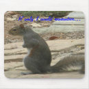 Suche nach lustiges eichhörnchen mousepads Tiere