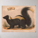 Suche nach skunk poster Für alle
