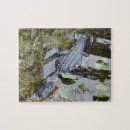 Suche nach alligator puzzle Foto
