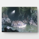 Suche nach löwe fotoplatten Natur