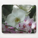 Suche nach weiße orchidee mousepads Natur