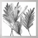 Suche nach blumen silhouette poster Botanisch