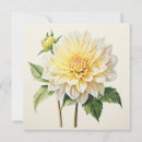 Suche nach weiße dahlien karten Botanisch