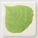 Suche nach grüner apfel untersetzer Natur