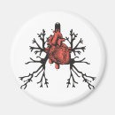 Suche nach lunge magnete Herz