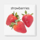 Suche nach frische erdbeeren magnete Nahrung