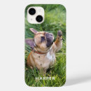 Suche nach pets hüllen Jede person