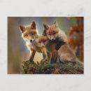 Suche nach fuchs foto postkarten Tierwelt