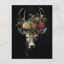 Suche nach hirsch postkarten Rosa