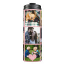 Suche nach die rosen tassen Familie