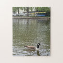 Suche nach enten puzzle Wasser