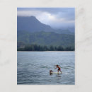 Suche nach hanalei postkarten Kauai