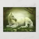 Suche nach arabisches pferd postkarten Pferde