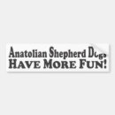 Suche nach anatolisch Schäfer