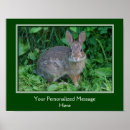 Suche nach wilder hase poster Kaninchen
